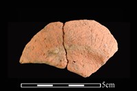 陶片藏品圖，第1張